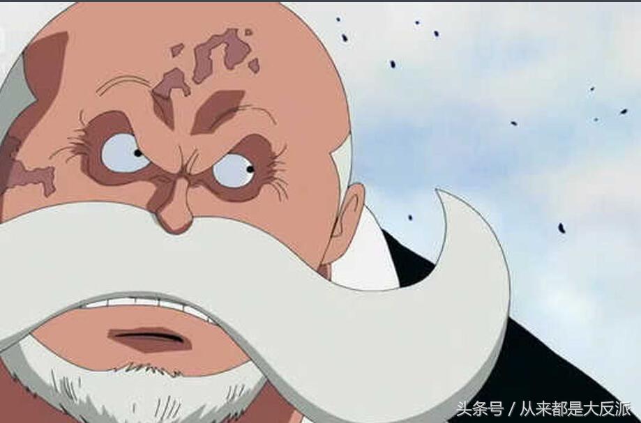 海贼王有多少人出场,海贼王一共出现了多少个人物