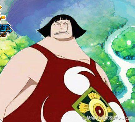 海贼王有多少人出场,海贼王一共出现了多少个人物