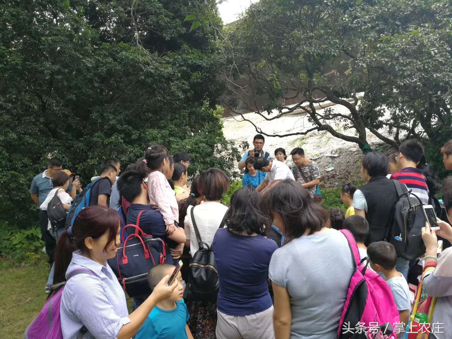 小萌豆自然学堂碧岭营地的蜜蜂课堂