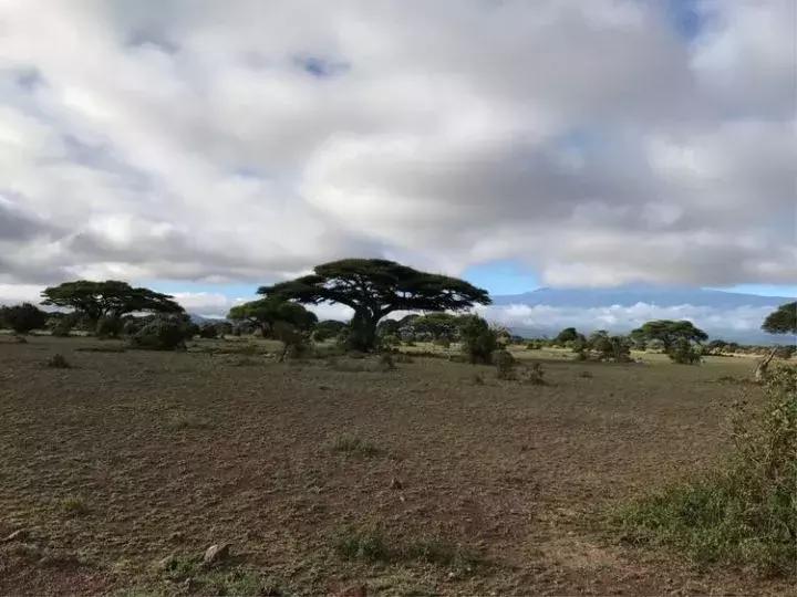 曾哥美国视频,曾哥美国