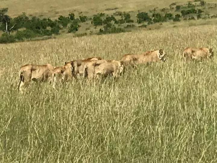 曾哥美国视频,曾哥美国