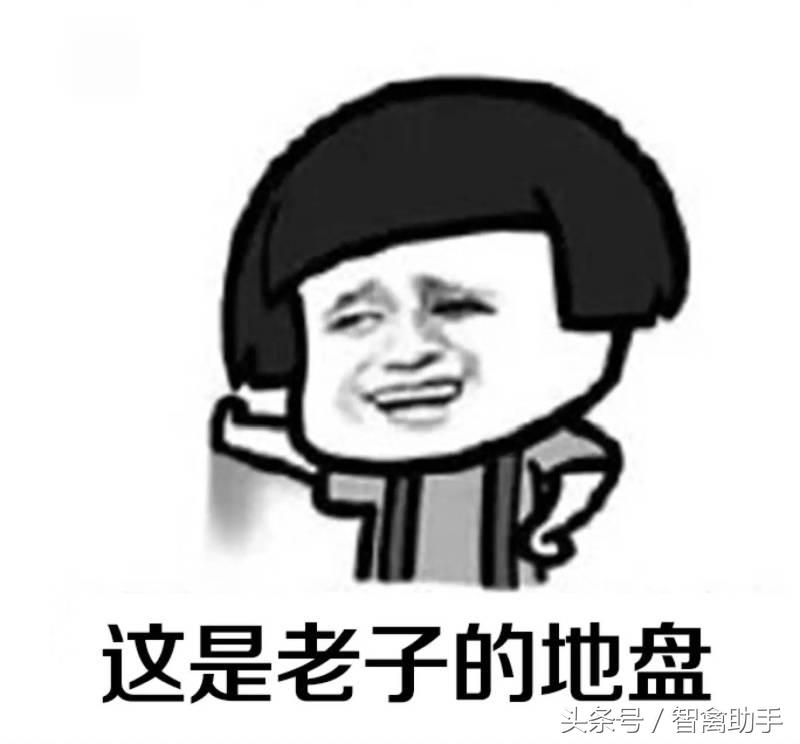 小鸡啄肛什么原因,鸡子啄鸡蛋是什么原因