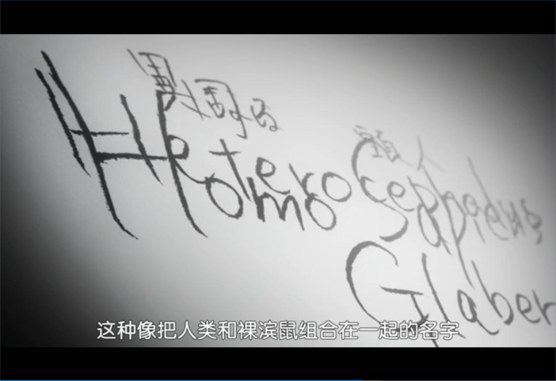 《来自新世界》为什么这部作品被称为冷番神作？