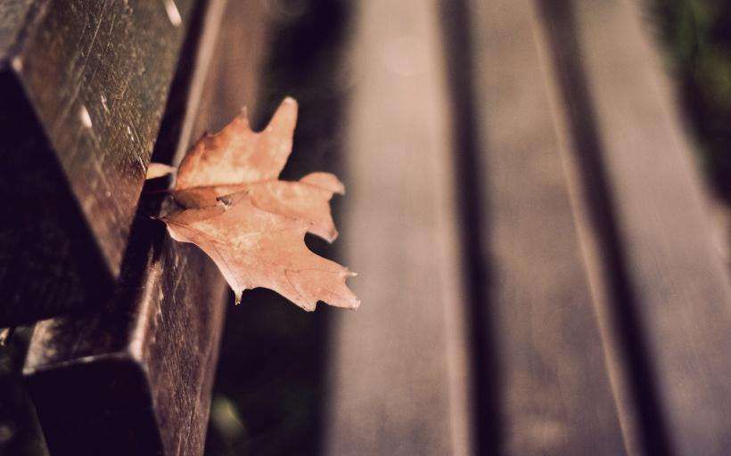 100条经典法律知识,100条经典法律俗语