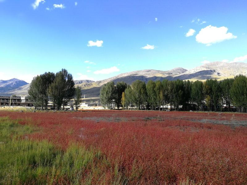 成都自驾稻城亚丁多少钱,成都自驾稻城亚丁租车多少钱