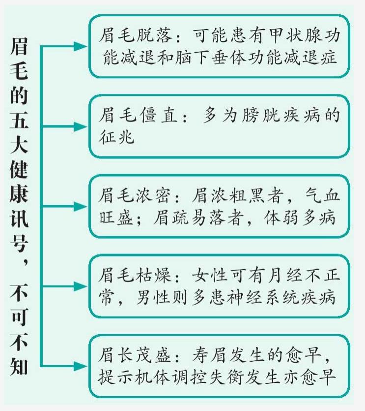 从眉毛看出人的命,五脏健康与否从眉毛找征兆