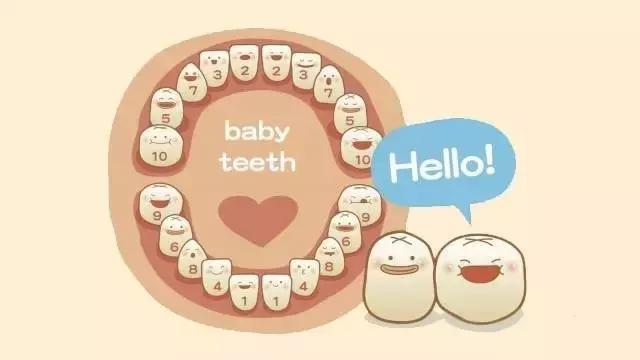 我只有28颗牙齿正常吗,一排只有14颗牙齿正常吗