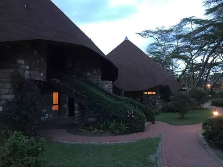 曾哥美国视频,曾哥美国