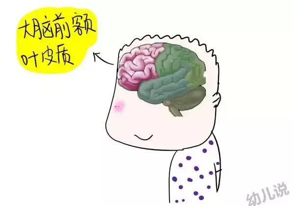 小孩3岁前的记忆是突然消失的吗,小孩2岁前没有记忆是什么原因