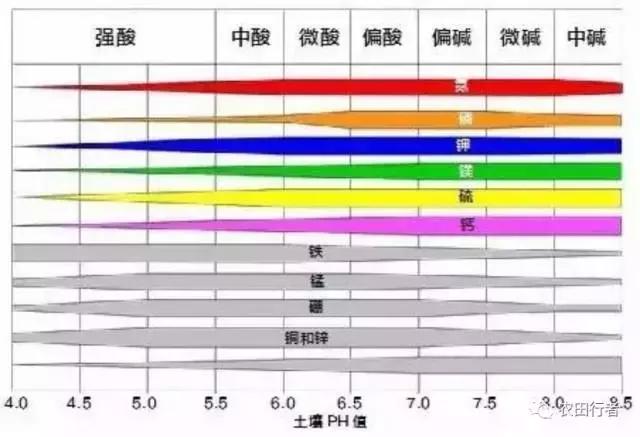 土壤酸碱度偏高有什么危害,土壤偏碱性对农作物的危害