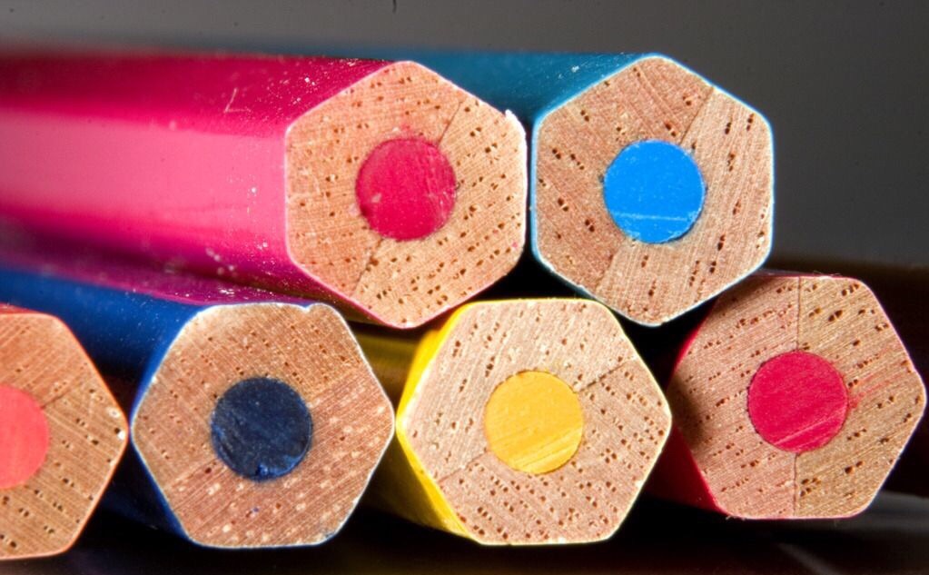 一个月狗狗剪指甲正确方法,养狗妙招大全