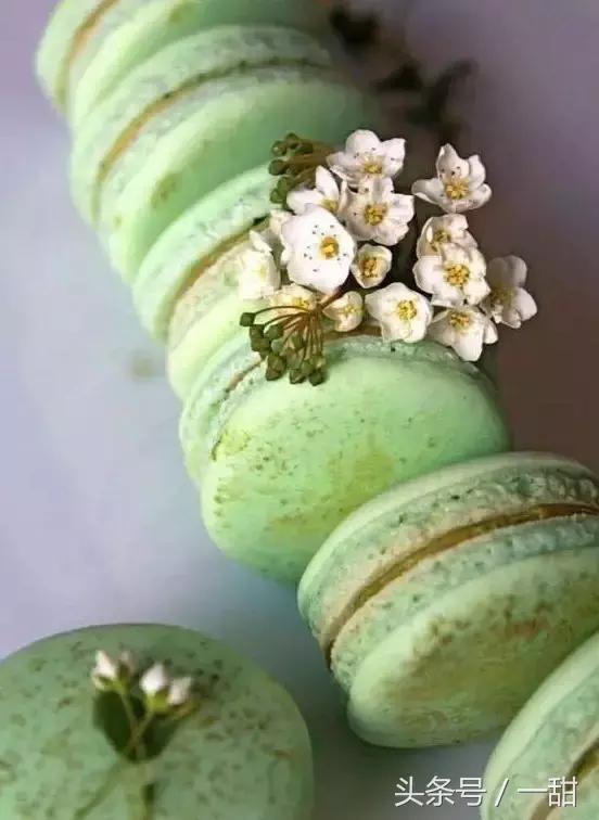 食材特典｜关于抹茶的真相都在这里（深度文）