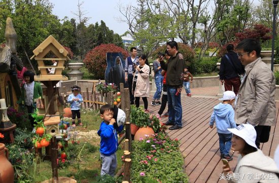 小萌豆自然学堂碧岭营地的蜜蜂课堂