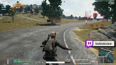 绝地求生p城霸主短视频,大罗金仙转世重生电影完整版