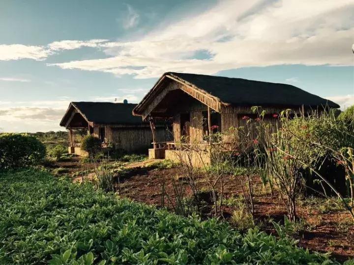 曾哥美国视频,曾哥美国