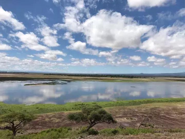 曾哥美国视频,曾哥美国