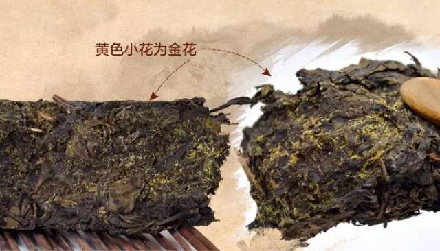 涓嶅枬榛戣尪,涓嶅枬榛戣尪鎬庣煡榛戣尪涔嬬編