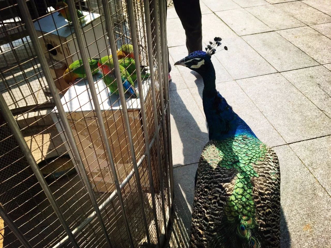 北京最高端驾校,北京性价比最高的驾校