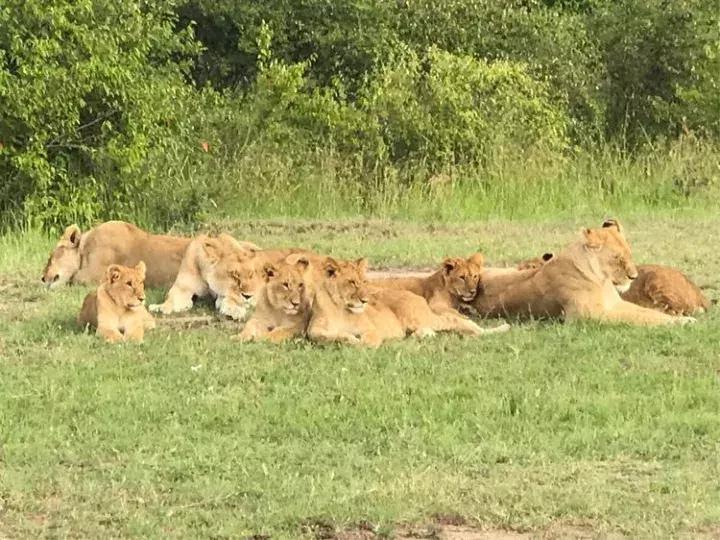 曾哥美国视频,曾哥美国