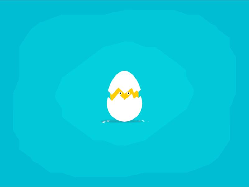 小鸡啄肛什么原因,鸡子啄鸡蛋是什么原因