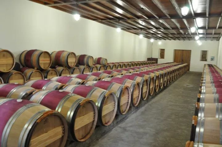 波尔多最贵的酒不是拉菲是谁,波尔多葡萄酒世界地位