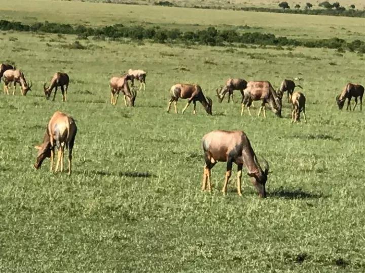 曾哥美国视频,曾哥美国