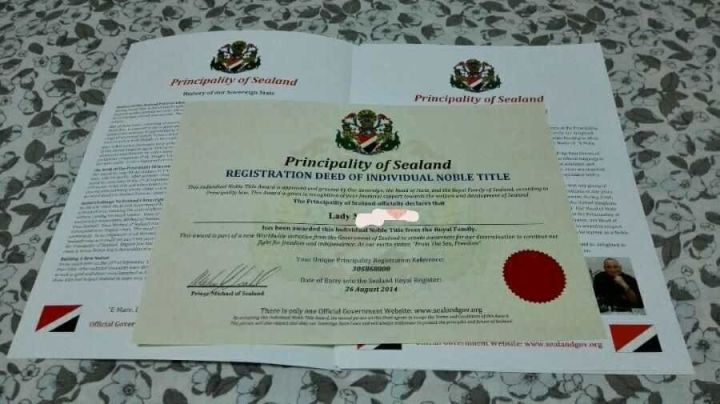 800块钱能买到哪些东西,800欧元在德国能买什么