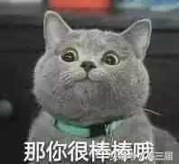 文理科差别大怎么办,文理科分班的区别