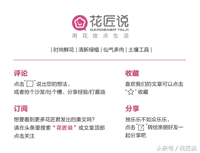 铁树怎么养及关注事项,铁树该怎么养护和浇水