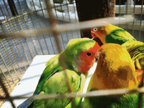 北京最高端驾校,北京性价比最高的驾校