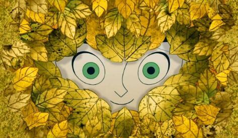 真正的玛咖,真正的玛咖是啥样