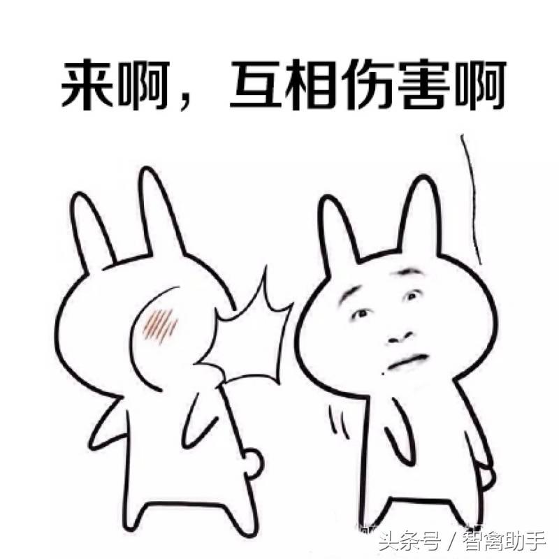 小鸡啄肛什么原因,鸡子啄鸡蛋是什么原因