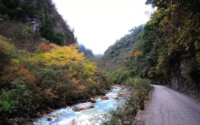 四川看红叶最佳地方自驾游,四川彩林红叶最佳观赏地点