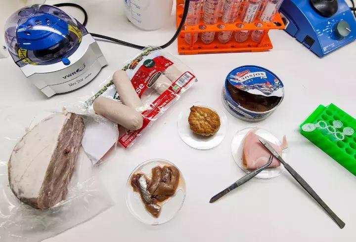 蓝鳍金枪鱼辨别真假,蓝鳍金枪鱼大腹如何辨认真假