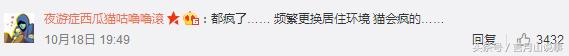 共享猫咪可以用吗,共享猫咪9.9元租一天