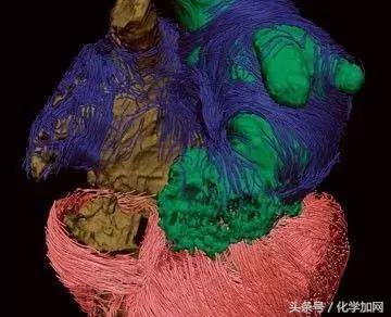 nature杂志封面2023图文,nature杂志渐变色