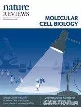 nature杂志封面2023图文,nature杂志渐变色