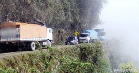 绗竴澶哄懡鍏矾瑙嗛,绗竴澶哄懡鍏矾浠嬬粛