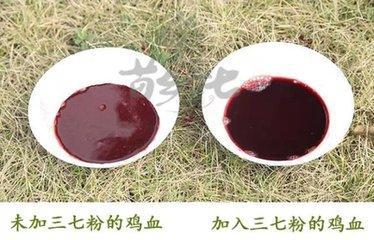 专家教你三七用法,怎样挑选真三七打粉