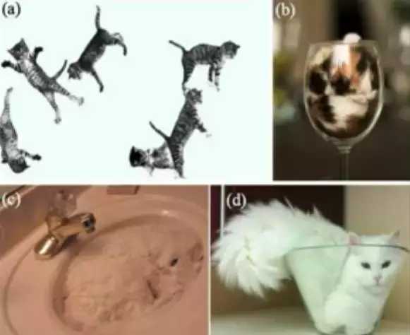 今年诺贝尔医学奖发明了什么,盘点最奇葩的发明