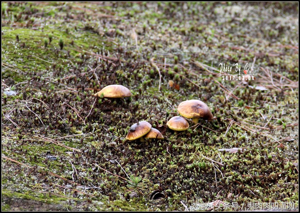 去日本的第一站,日本第一站飞大阪还是飞东京好