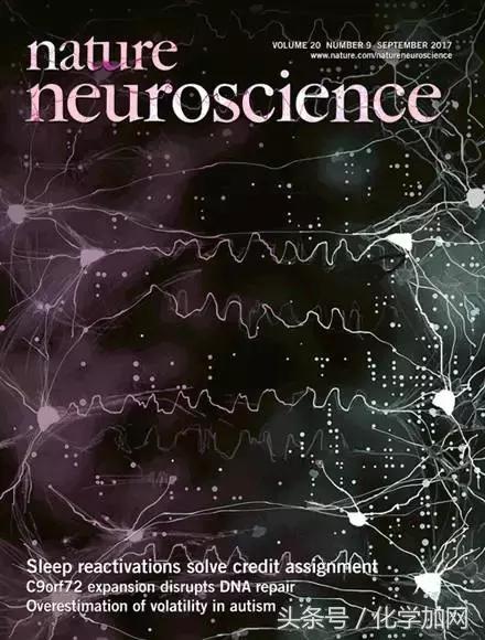 nature杂志封面2023图文,nature杂志渐变色