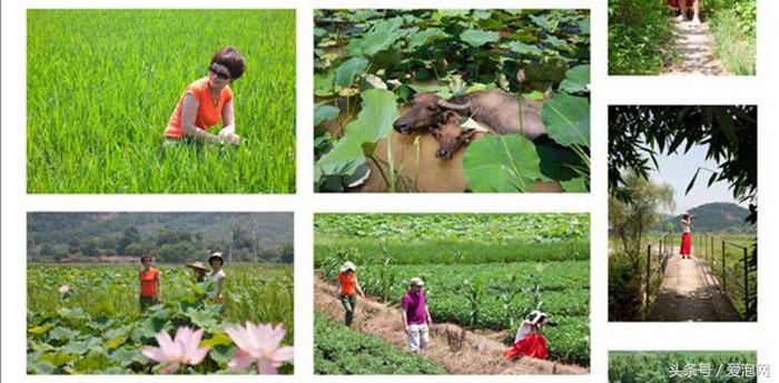 清远英德奇洞温泉度假村酒店,广州山水森林温泉度假酒店