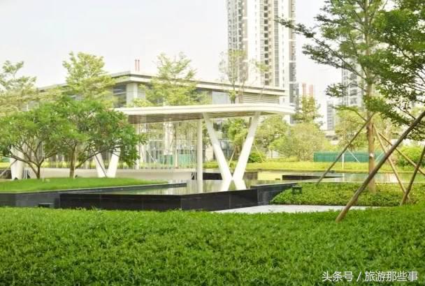 广州有什么看海的度假酒店,广州看海酒店推荐