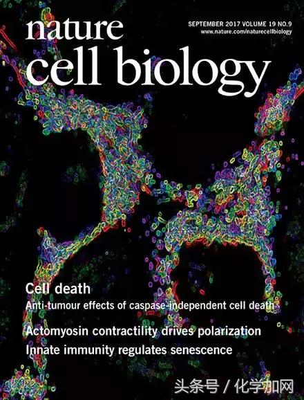 nature杂志封面2023图文,nature杂志渐变色