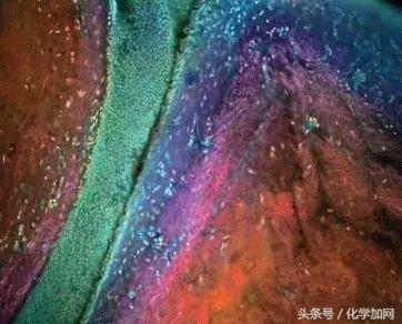 nature杂志封面2023图文,nature杂志渐变色