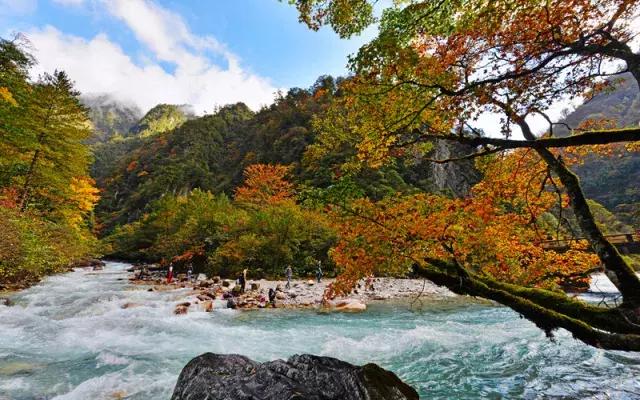 四川看红叶最佳地方自驾游,四川彩林红叶最佳观赏地点