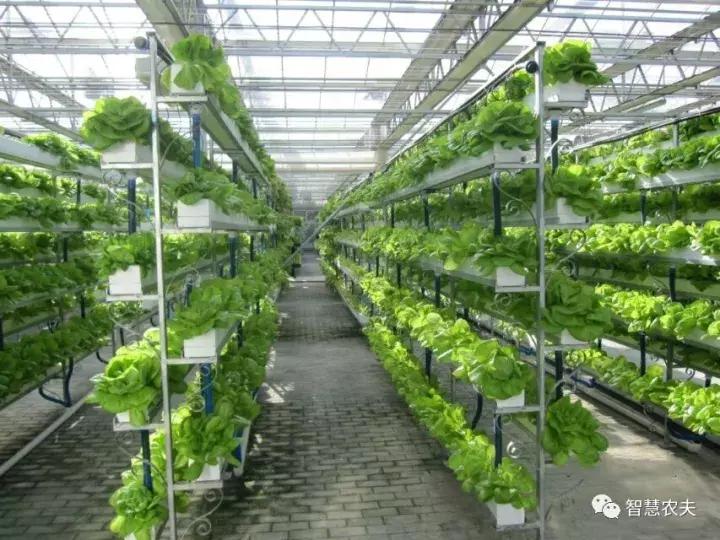 无土栽培营养液配方表,无土栽培技术视频大全