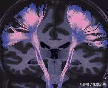 nature杂志封面2023图文,nature杂志渐变色