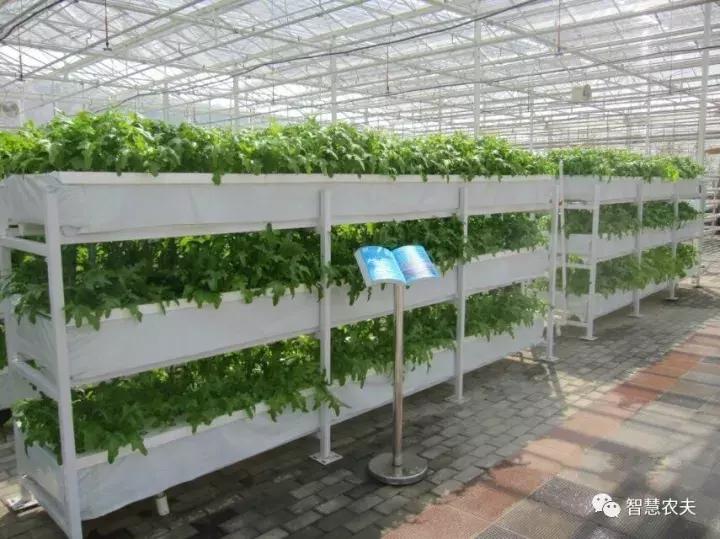 无土栽培营养液配方表,无土栽培技术视频大全